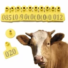 COW ANTINGS ( EAR TAG ) AND OTHER ANIMALS CONTENT 100 PCS/ PACK 1