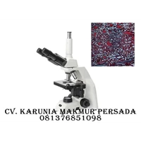 BestScope BS-2052BT(ECO) Mikroskop Trinokuler Biological