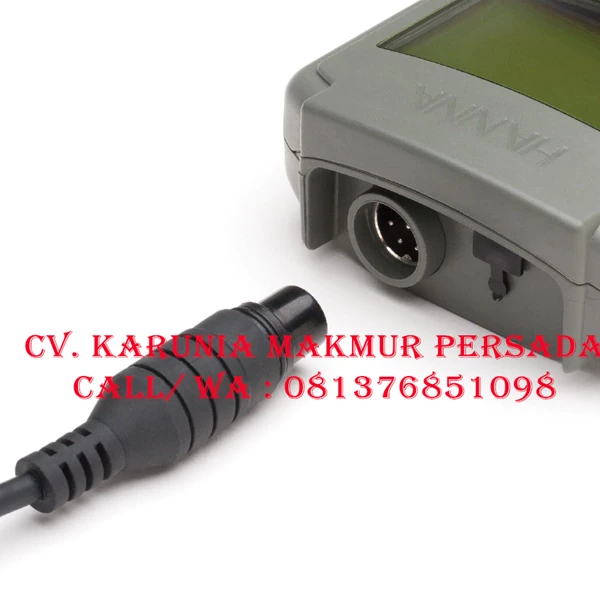 Hanna Professional Waterproof Portable pH - ORP Meter - HI98190