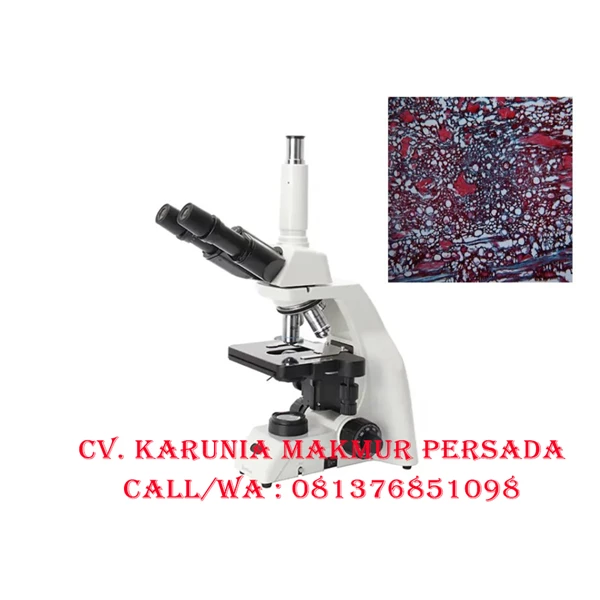 Best Scope BS - 2052BT Trinocular Biological Microscope