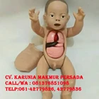 Infant Phantom Open Chest Resuscitation - Infant Torso - Educational Aids 1