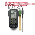 HANNA HI 83141-1 Portable Analog pH/mV Meters HI83141-1 (PH Meter) 1
