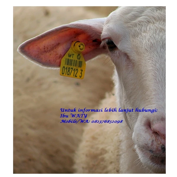 Cow Earrings / Rubber Ear Tags