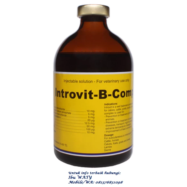 Veterinary Medicine Introvit B Complex Bottle Packaging