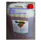 Obat Pembasmi Rumput Roundup Biosorb 486 SL 1
