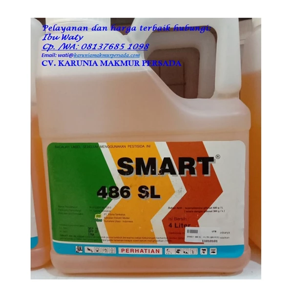 SMART 486 SL