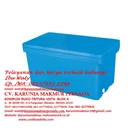 COOL BOX OCN 60 Liter 2