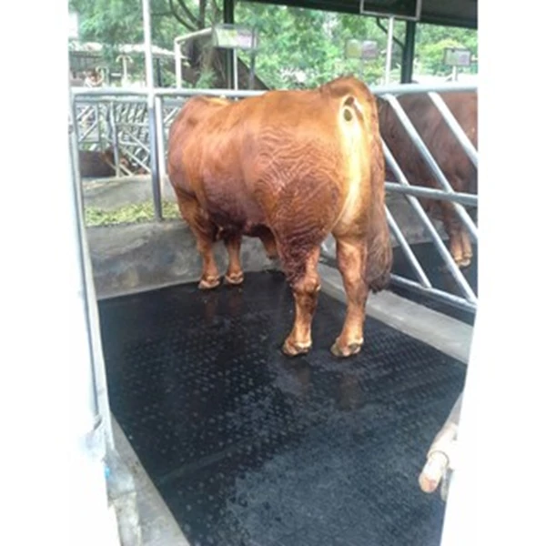 Black rubber rug for cows