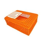 Orange plastic chicken / rabbit basket 2