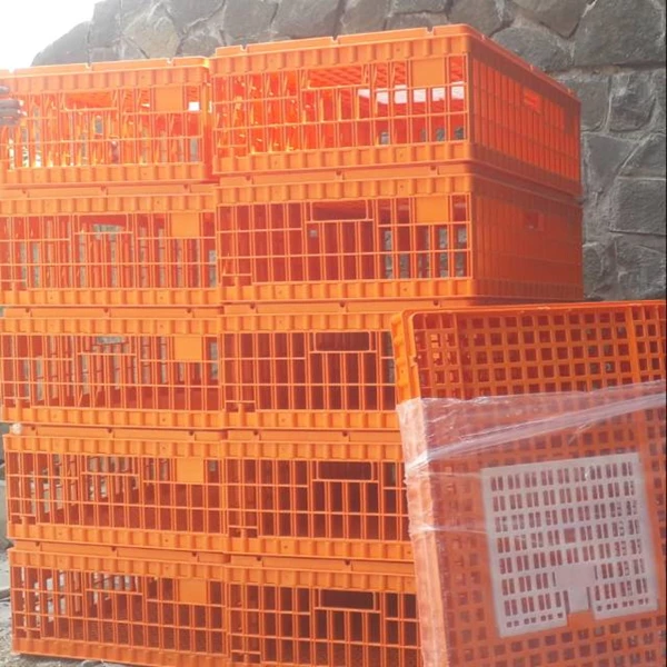 Orange plastic chicken / rabbit basket