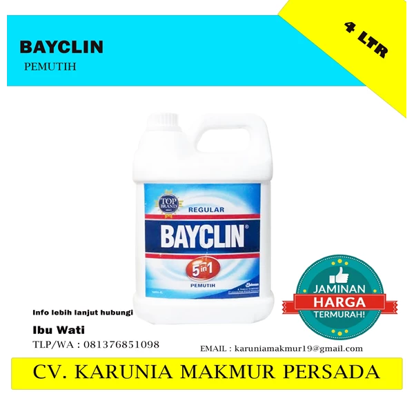 Bayclin 4 liter clothes whitener