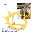 COW RING NOSE  MERK TEBRU 2